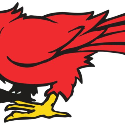 AR CARDINAL 11 RC Thumbnail